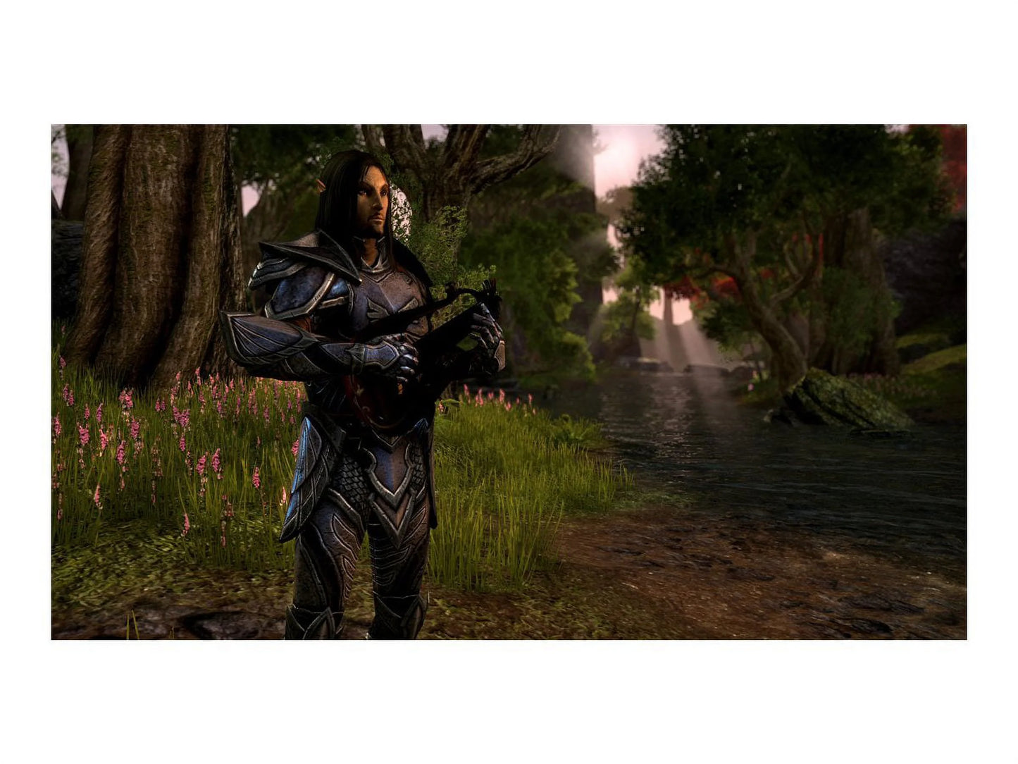 the Elder Scrolls Online: Tamriel Unlimited (Xbox One)